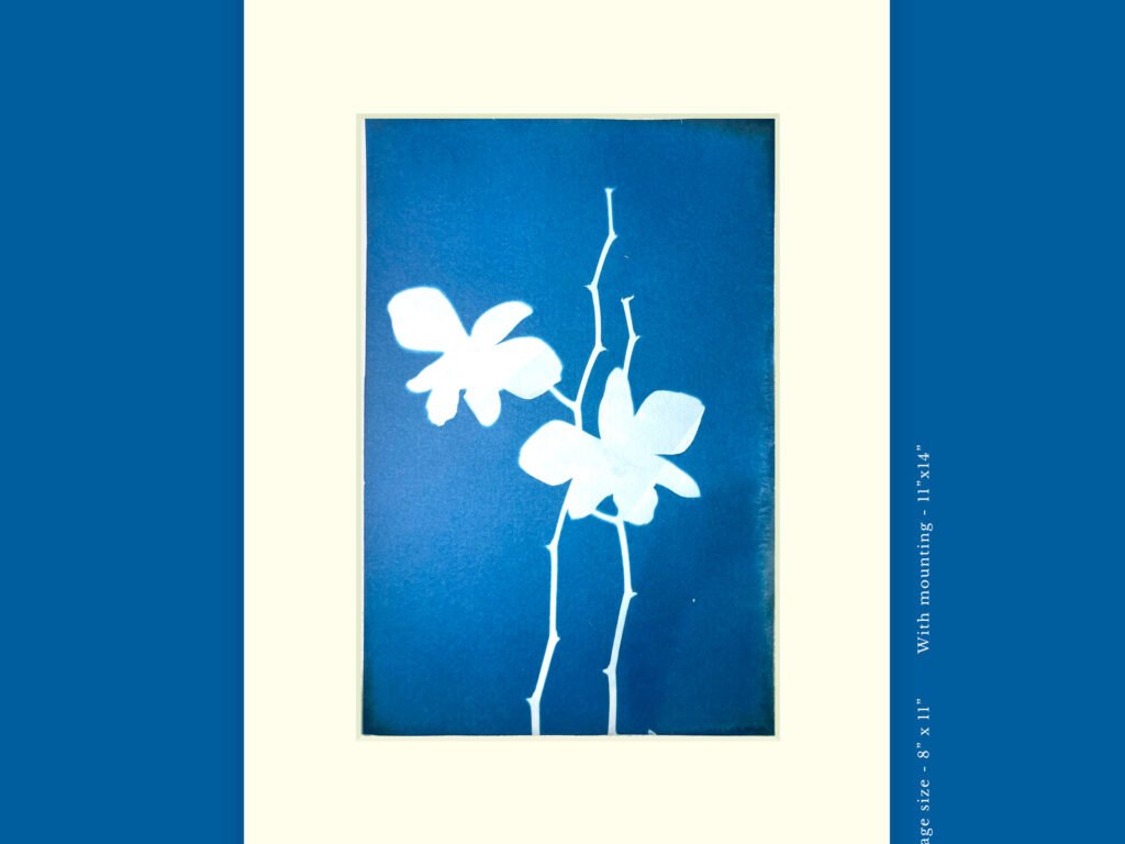 Leaves and Petals A4 Print – A4P/25/05