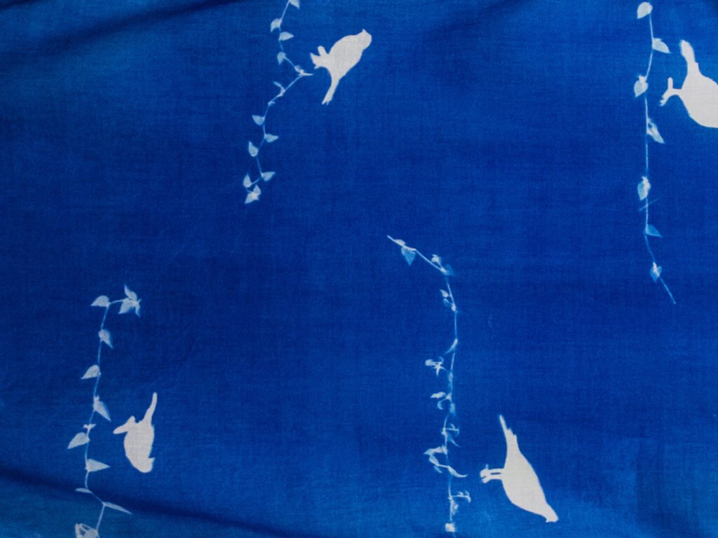 Paakhi Collection -Scarf – PSC/25/18