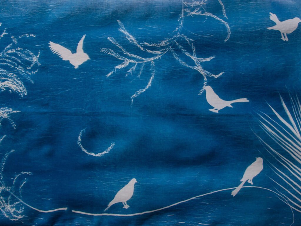 Paakhi Collection - Scarf – PSC/25/57